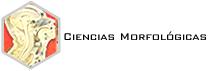 Morfol&oacute;gicas: descubra sus contenidos. recursos, informaci&oacute;n de contacto ... (en Construcci&oacute;n)